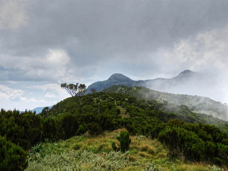 Photo courtesy of Safari 254 Blog